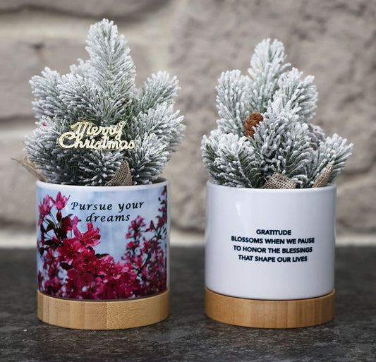 Small potted Christmas tree in decorative pot with a floral scene and inspirational quotes.