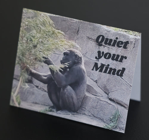 Note card with young gorilla and "Quiet you mind" quote.
