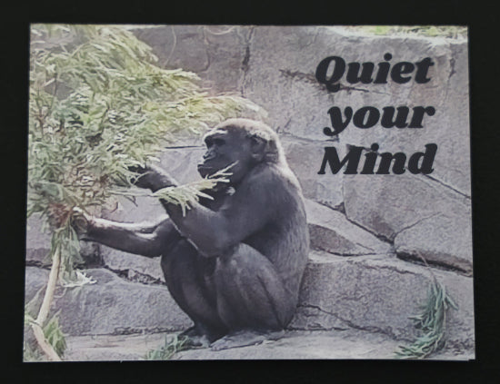Note card with young gorilla and "Quiet you mind" quote.