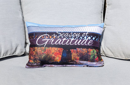 Decorative Throw Pillow