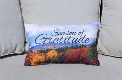 Decorative Throw Pillow