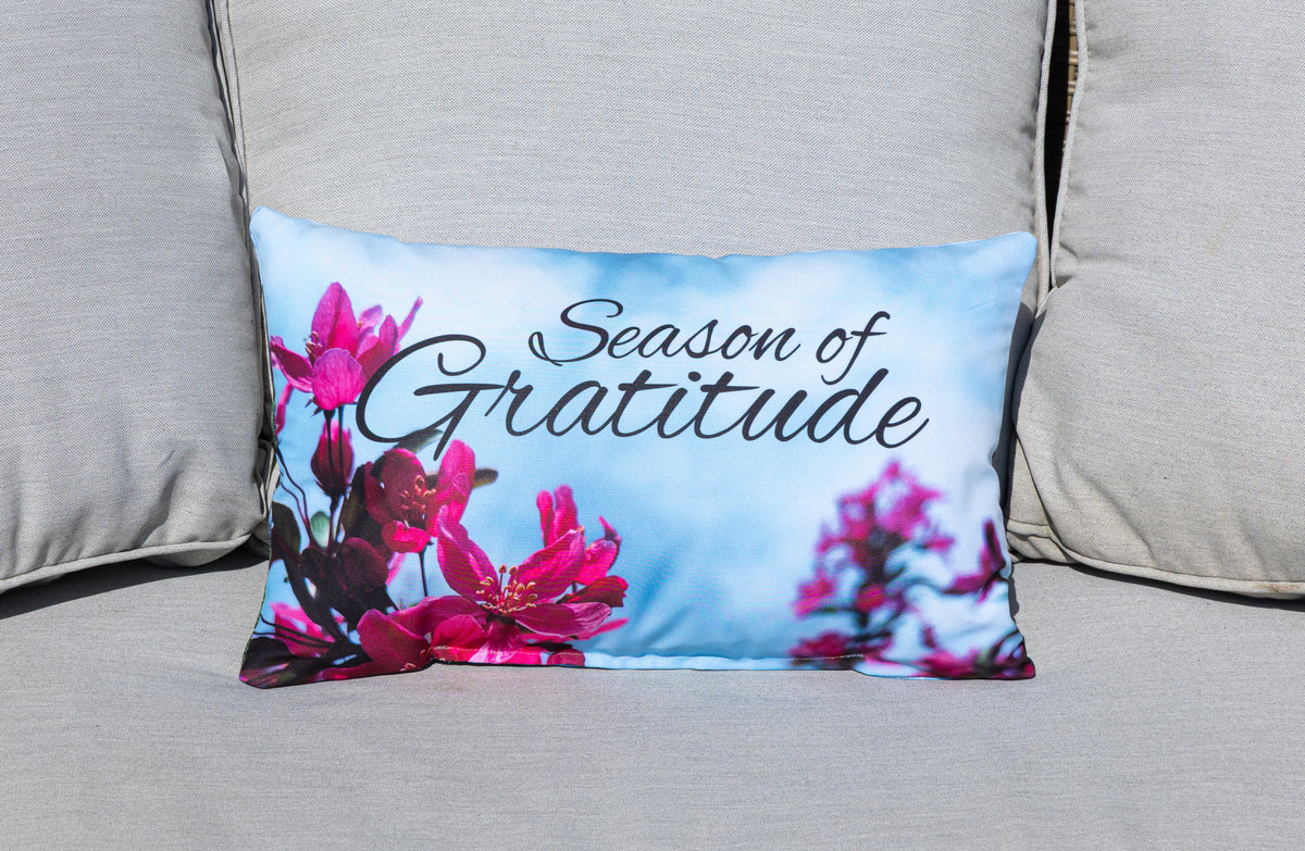 Decorative Throw Pillow
