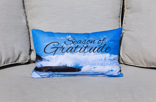 Decorative Throw Pillow