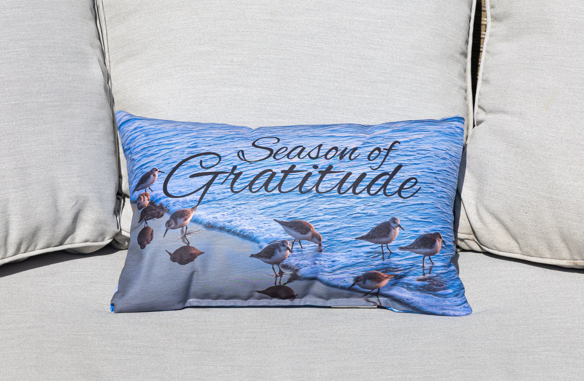 Decorative Throw Pillow