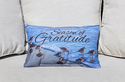 Decorative Throw Pillow