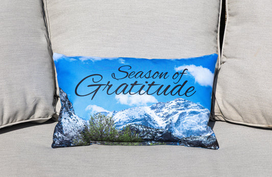 Decorative Throw Pillow
