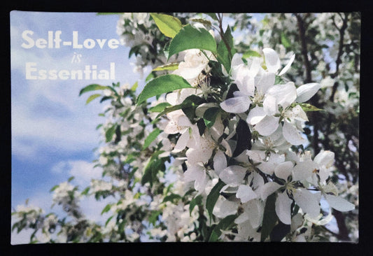Canvas print with scenic floral scene with 'Self-Love is Essential' text.