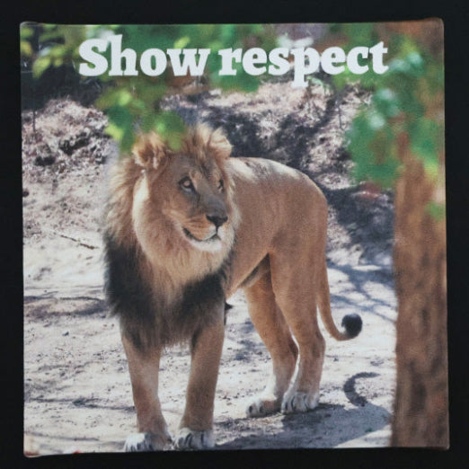 Canvas print with a lion standing in a natural setting with 'Show respect' text.
