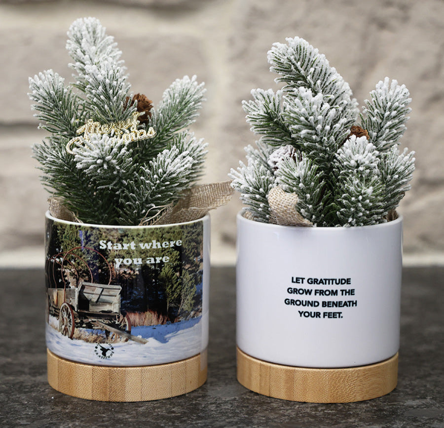 Small potted Christmas tree in decorative pot with a rustic wagon and inspirational quotes.