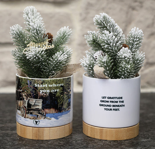 Small potted Christmas tree in decorative pot with a rustic wagon and inspirational quotes.