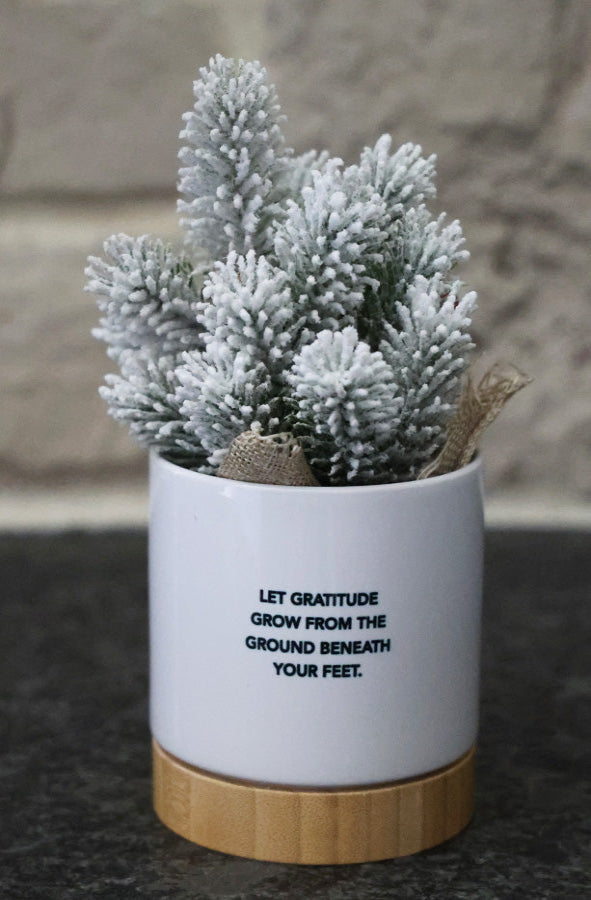 Holiday Planter - Start where you are