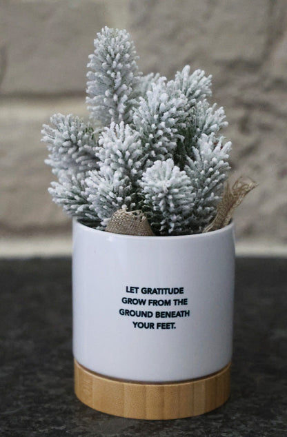 Holiday Planter - Start where you are