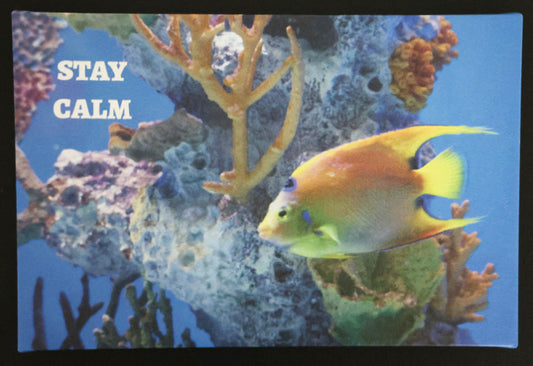 Canvas print with scenic fish swimming among coral with 'Stay Calm' text.
