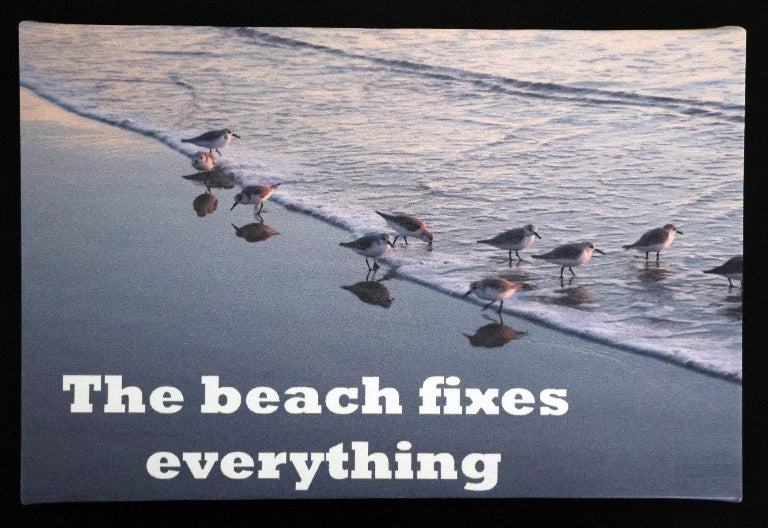 Canvas print with scenic of Birds walking along a beach 'The beach fixes everything' text.