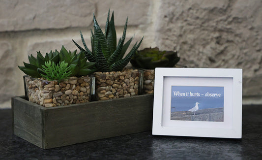 Framed picture with 'When it hurts - observe' quote.