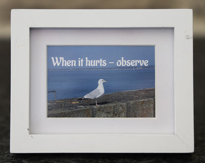Mini Frame - When it hurts - observe