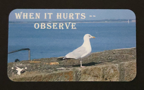 Kindness Card - When it hurts - Observe - Set of 25