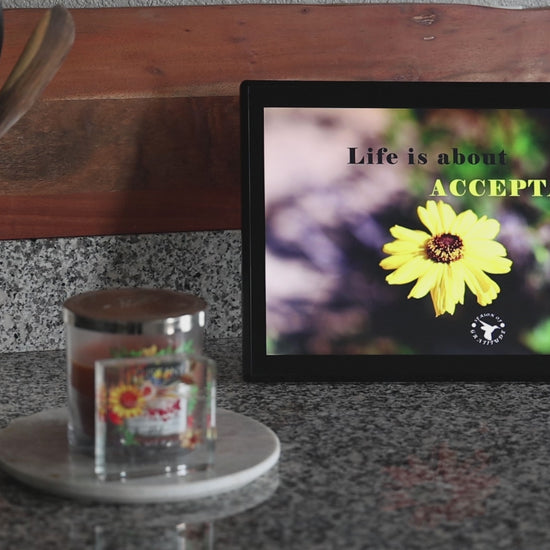 Life Video